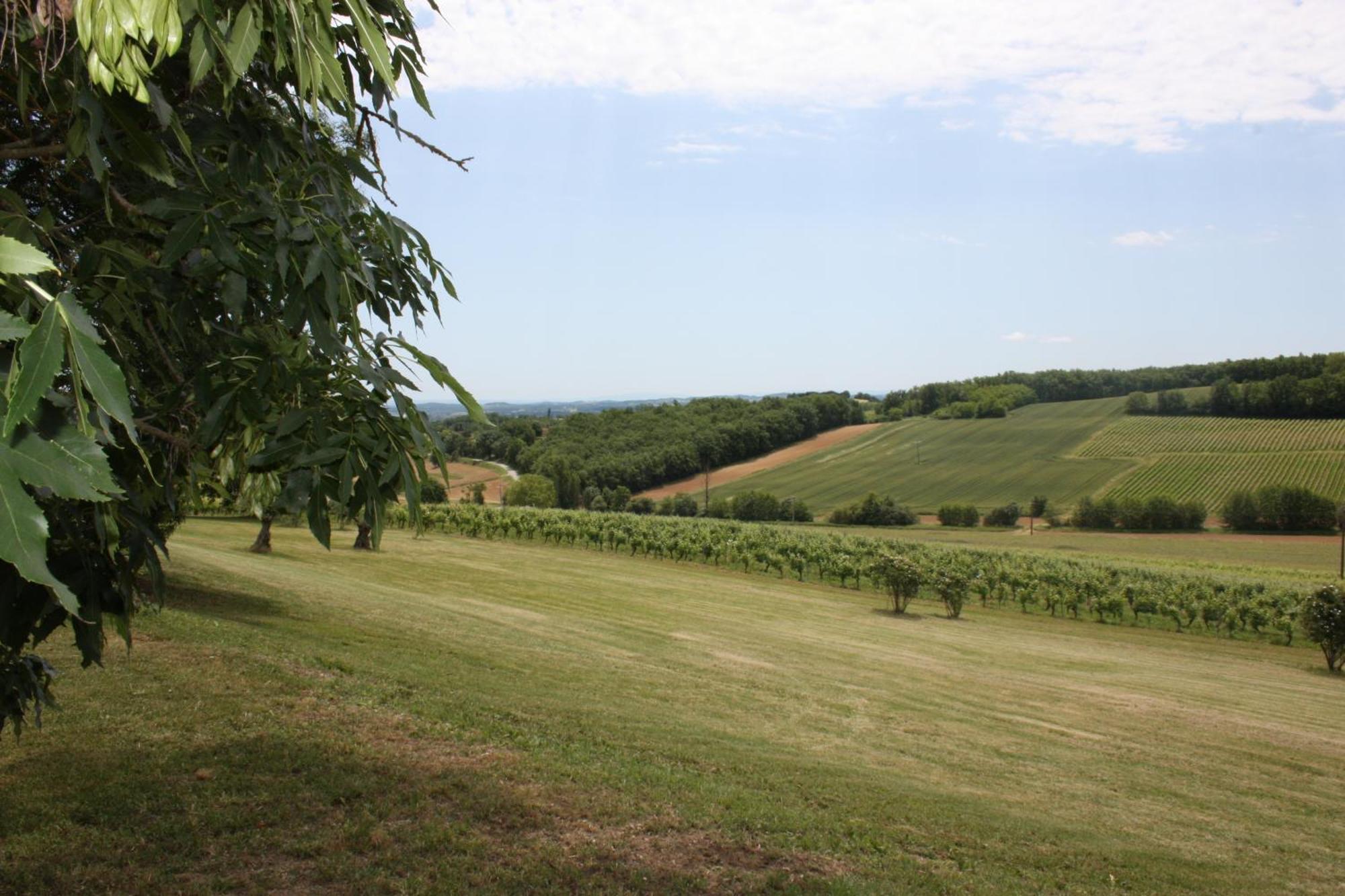 Domaine De Perches Bed and Breakfast Gaillac Eksteriør billede