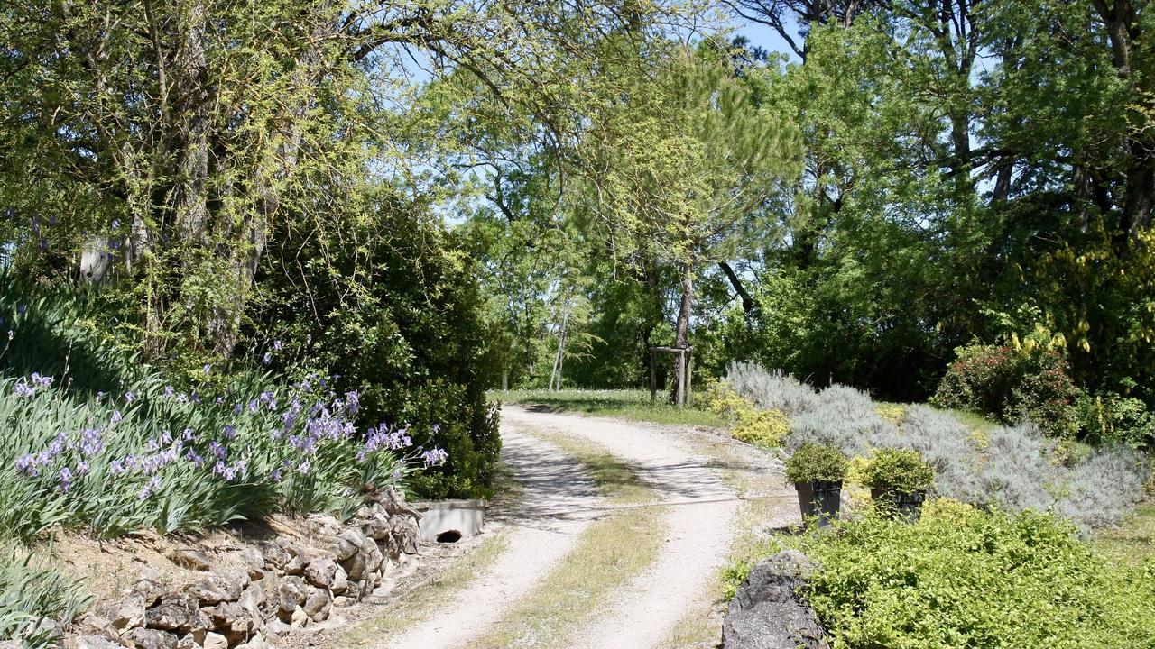 Domaine De Perches Bed and Breakfast Gaillac Eksteriør billede